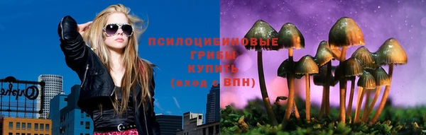 эйфоретик Няндома