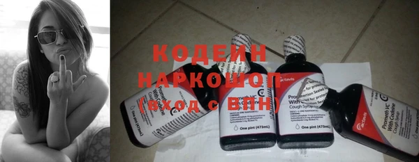 эйфоретик Няндома