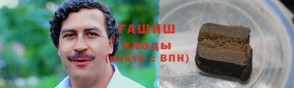 эйфоретик Няндома