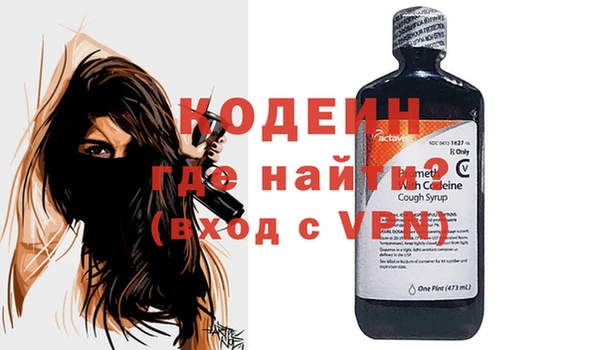 эйфоретик Няндома