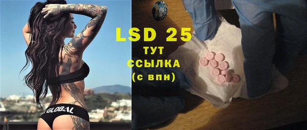 эйфоретик Няндома