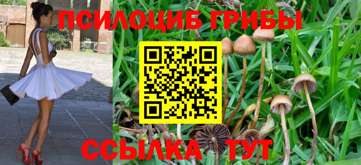 Аша  Псилоцибиновые грибы ЛСД  магазин продажи наркотиков  Вход с VPN 